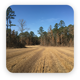 public hunting land
